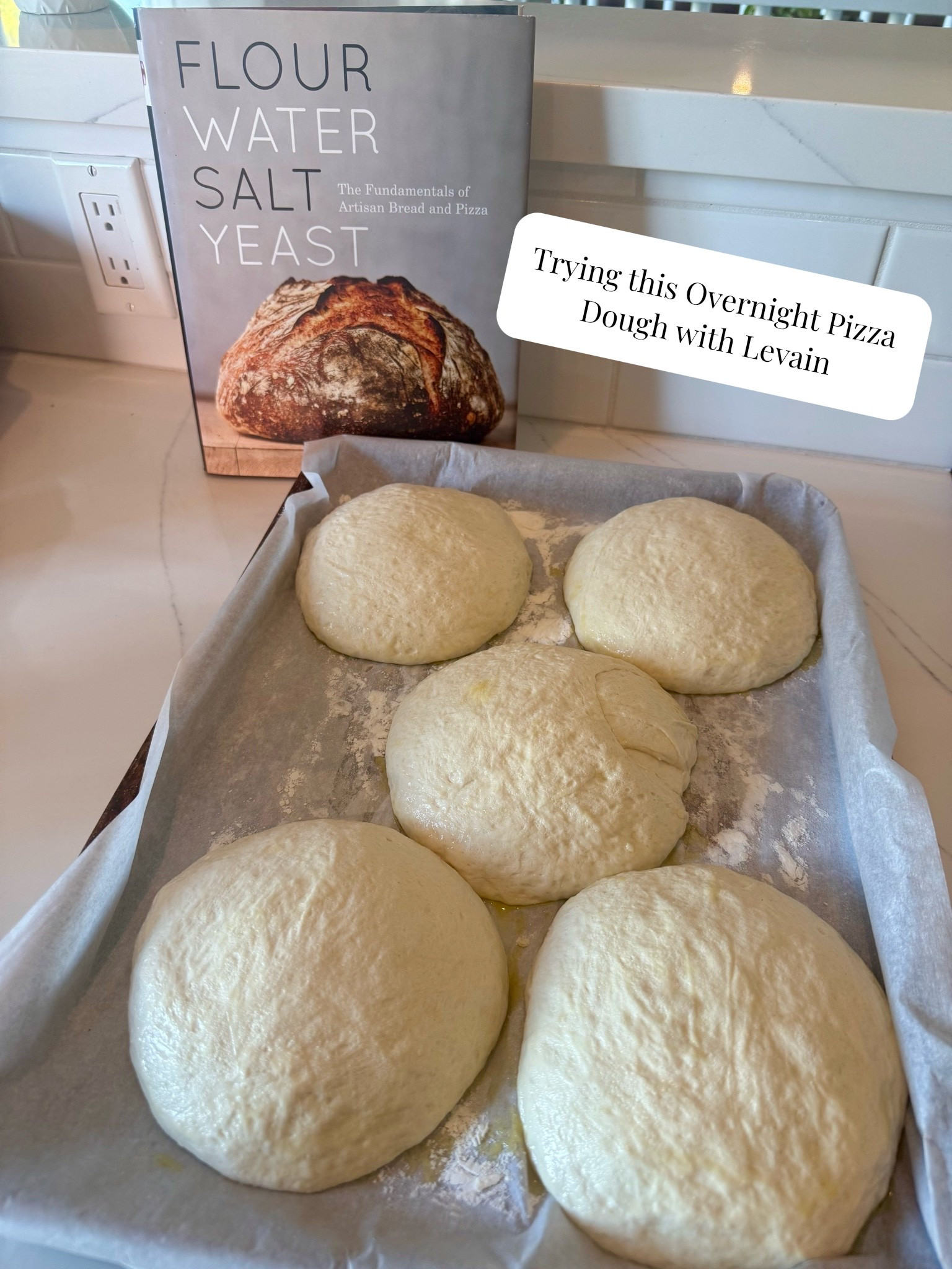 I’ve been making an effort to use my cookbooks more and I also have a sourdough starter that I’m constantly trying to cook with to use up the discard, so this recipes was perfect!