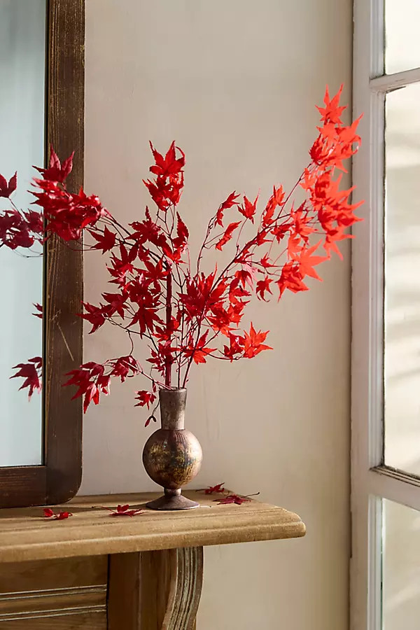 Preserved Japanese Maple Bunch | Terrain