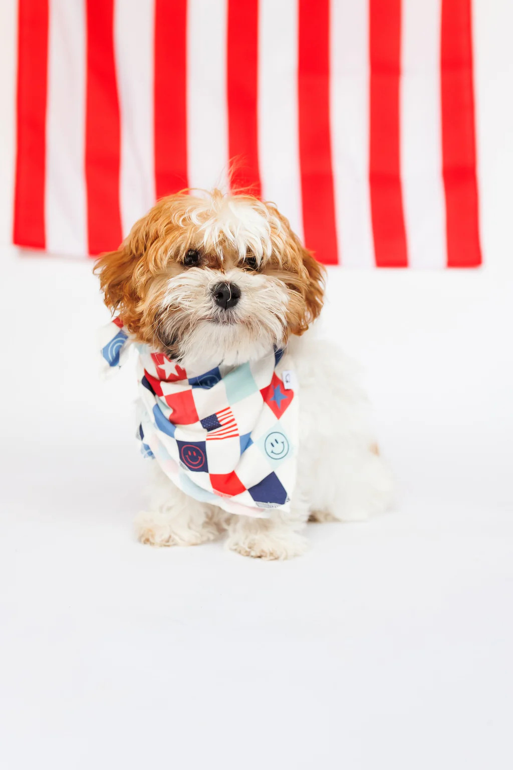 HOME OF THE FREE CHECKERS DREAM DOG BANDANA | DREAM BIG LITTLE CO