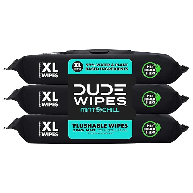 DUDE Wipes - Flushable Wipes - 3 Pack, 144 Wipes - Mint Chill Extra-Large Adult Wet Wipes - Vitam... | Amazon (US)