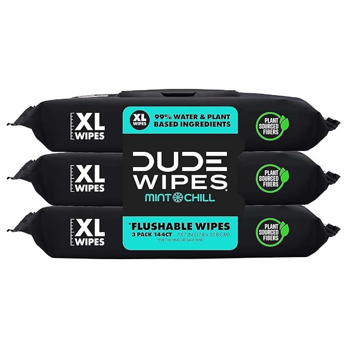 DUDE Wipes - Flushable Wipes - 3 Pack, 144 Wipes - Mint Chill Extra-Large Adult Wet Wipes - Vitam... | Amazon (US)