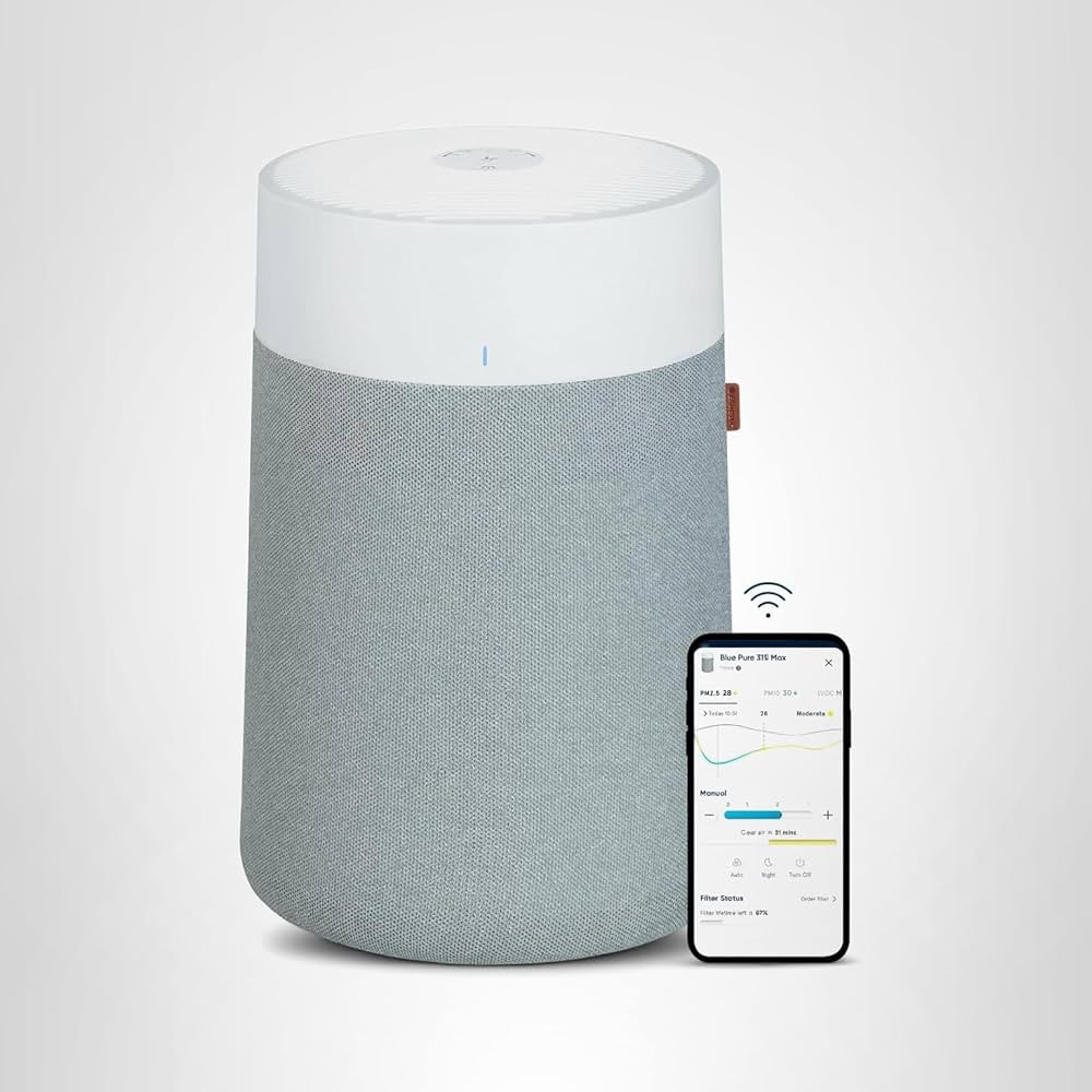BLUEAIR Air Purifiers for Medium Rooms, Bedroom, Kitchen, Cleans 1,858 sqft in one hour, HEPASile... | Amazon (US)