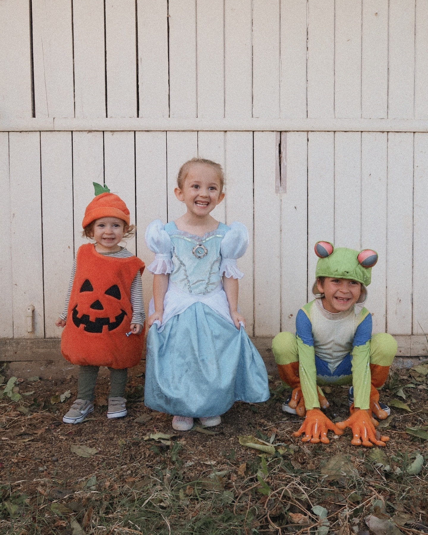 a look back at one of the cutest halloweens we’ve had 🍂 🎃 👻 a secondhand pottery barn pumpkin costume i’ve kept since my oldest was 1, a hand-me-down cinderella costume from a cousin, and the frog costume that (thank god) fit him for like three years! 

#LTKSeasonal #LTKFindsUnder100 #LTKHalloween