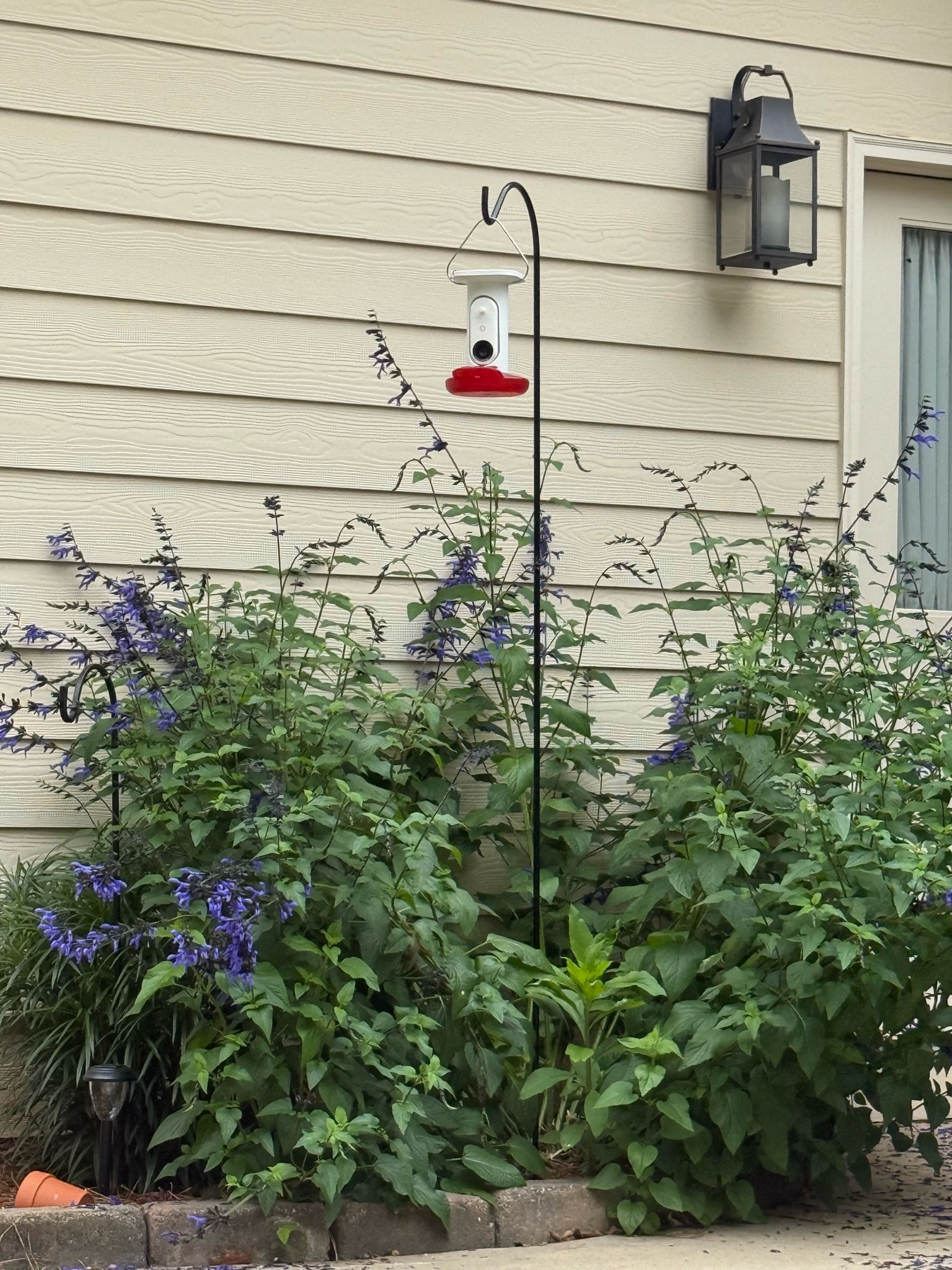 Grandmillennial Grandma era
Watching Hummingbirds ! @birdbuddy

#LTKmomlife #LTKSeasonal #LTKstorytime