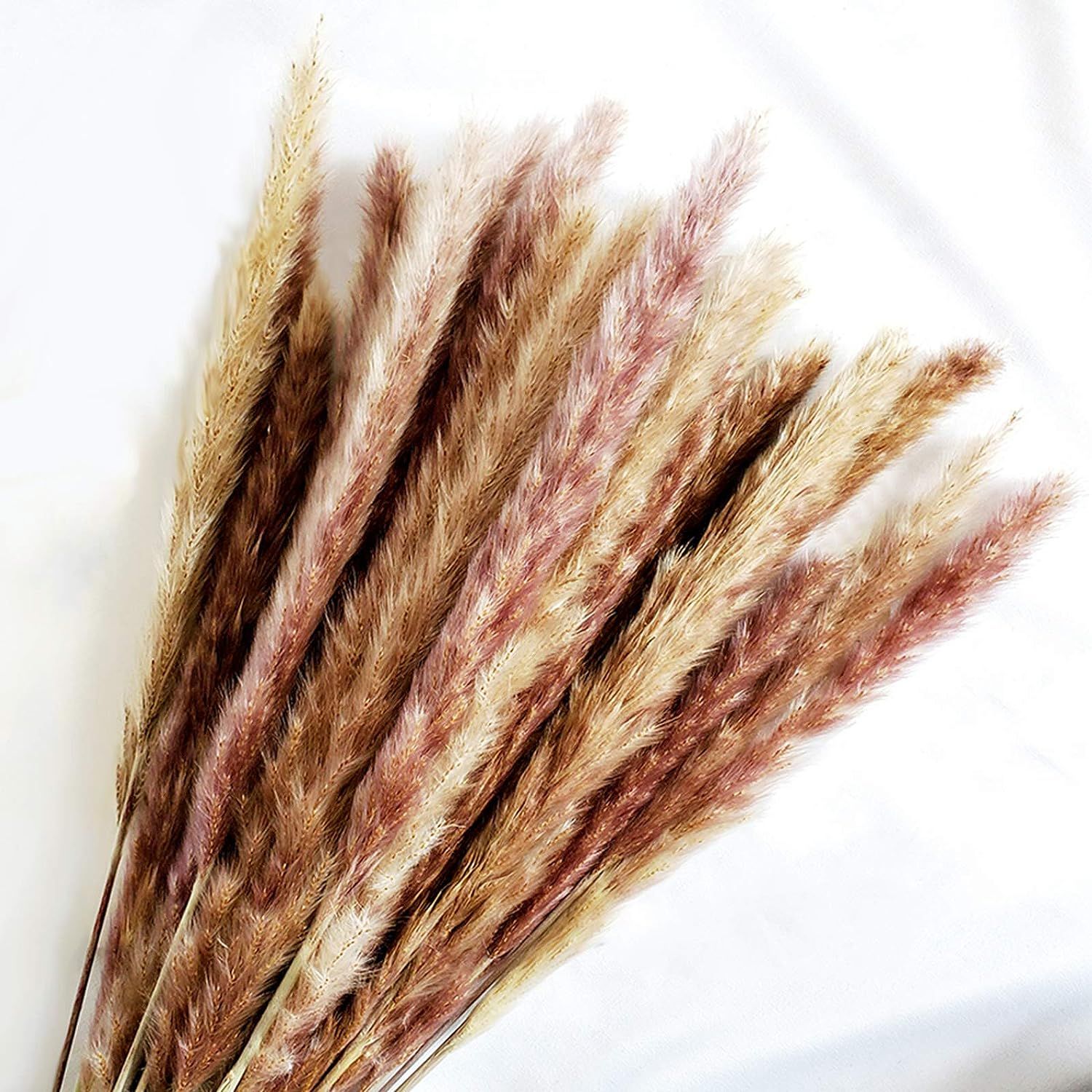 45cm Natural Dried Pampas Grass 30pcs for Flower Arrangements Home Decor | Amazon (US)