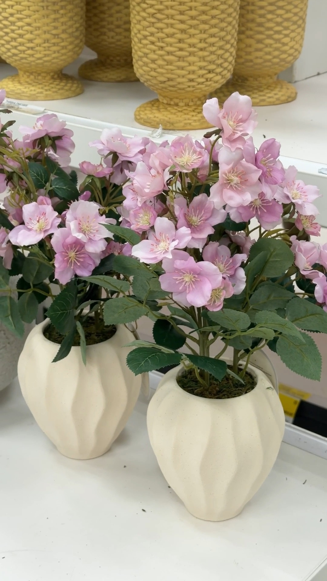 A simple spring refresh! 🌸 Loving this Artificial Blossom Arrangement from Target—the soft lavender-pink florals and textured ceramic pot make it feel so pretty and polished. 🌿 It’s an easy, low-maintenance way to add color and warmth to your space for spring. Styled on a shelf, entry table, or mantel, it instantly brightens the room. I linked this piece along with more faux flower finds to mix and match! 💐 #SpringHomeDecor #TargetFinds #FauxFlorals

#LTKHome #LTKFindsUnder50 #LTKSaleAlert