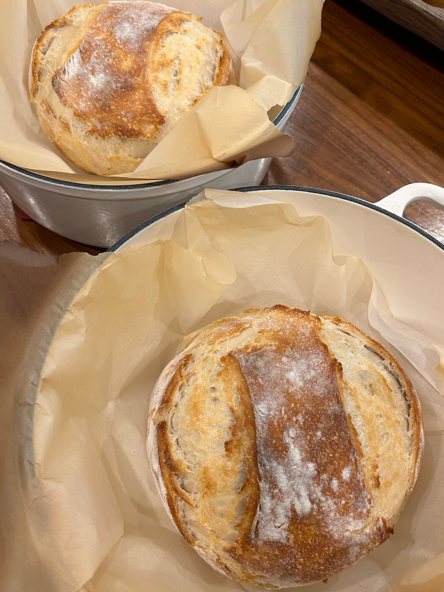 Sourdough. Sourdough needs. Baking bread. 

#LTKMostLoved #LTKhome #LTKfamily
