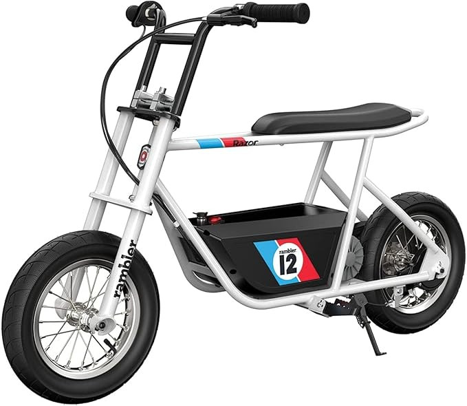 Razor Rambler 12 Electric Retro Minibike with 250W Motor & 24V Battery, for Teens Ages 13 and Up,... | Amazon (US)