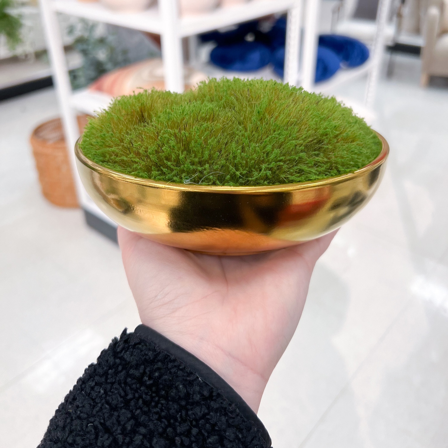 I love this little bowl with moss! It would be perfect styled on a bookshelf, coffee table or sitting on a stack of books. It is stunning and brings in such a great pop of color with the green and gold! 🤩

#LTKhome #LTKfindsunder50 #LTKfindsunder100