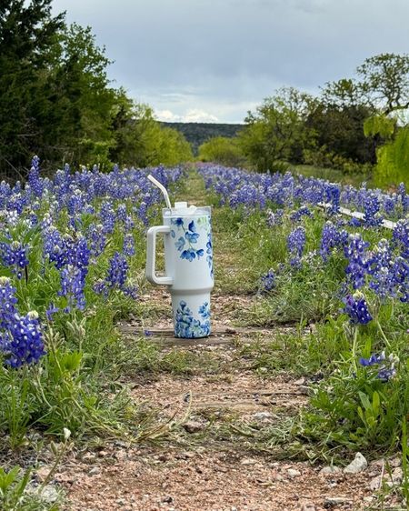 I always bring with me my bluebonnet tumbler to keep me hydrated and energized as I find the most beautiful bluebonnet spots in Texas!

Water bottle, drinking bottle, drinking glass, insulated tumbler, etsy finds, bluebonnet design, travel tumblers, stylish tumblers, stainless steel

#LTKfindsunder50 #LTKfindsunder100 #LTKGiftGuide #LTKtravel