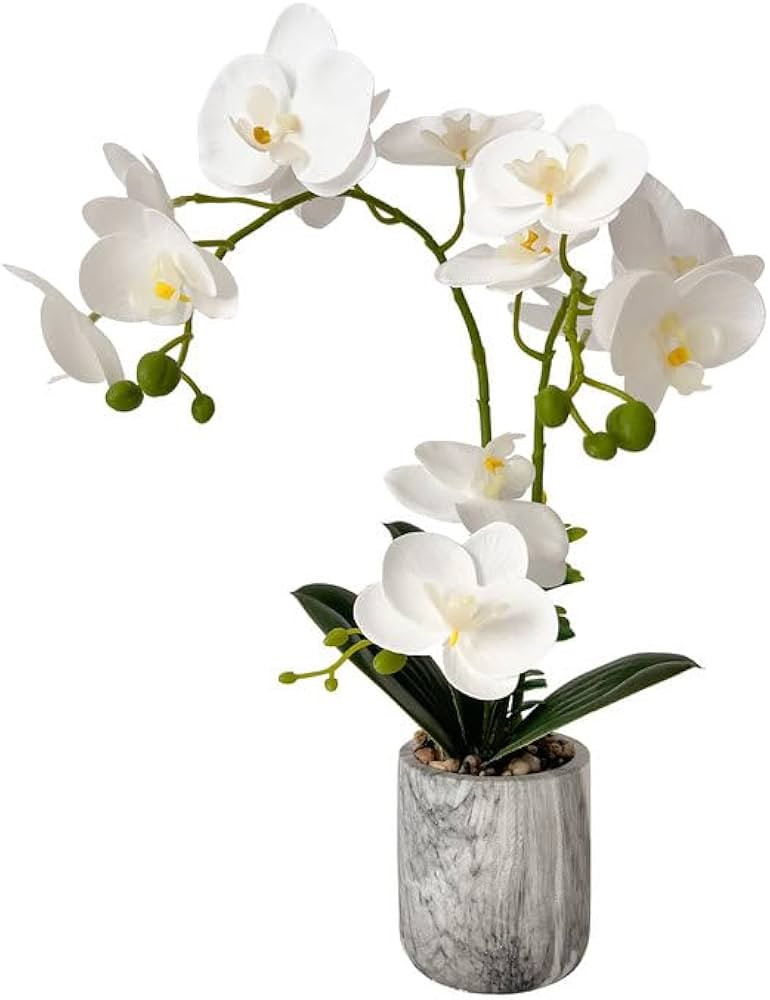 White Fake Orchids Flowers in Pot Bendable Faux Orchids Artificial Flowers Washable Silk Orchid P... | Amazon (US)