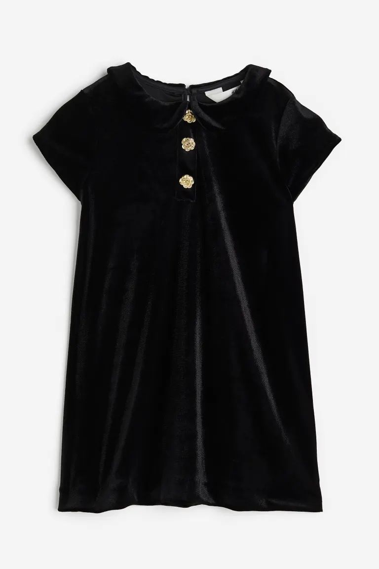 Velvet Dress with Collar | H&M (US + CA)