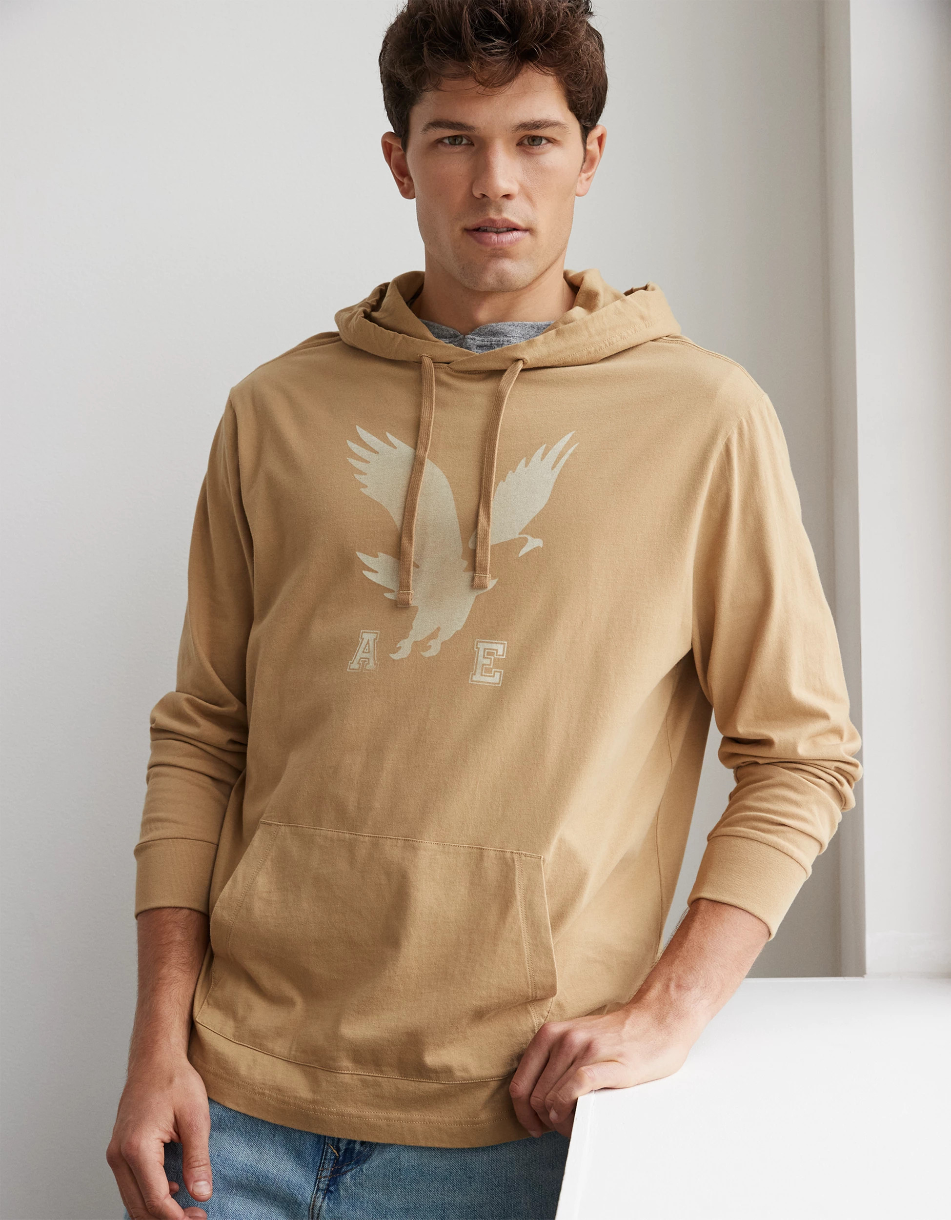 AE Super Soft Logo Graphic Hoodie T-Shirt | American Eagle Outfitters (US & CA)