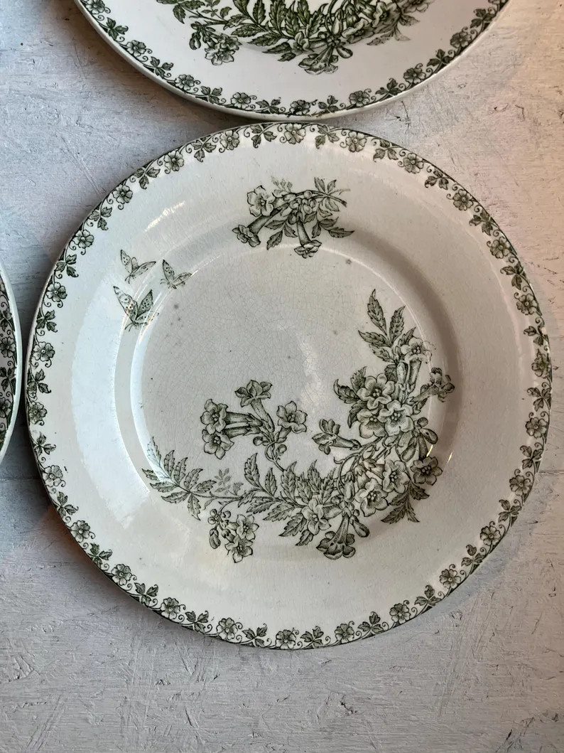 Antique French Ironstone Green Butterfly Plate "Denise" Pattern | Etsy (Global)