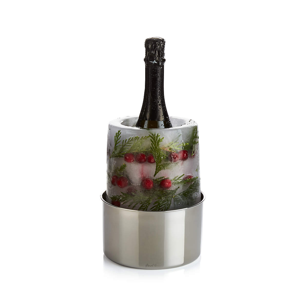 Ice Mold/Wine Bottle Chiller + Reviews | Crate & Barrel | Crate & Barrel