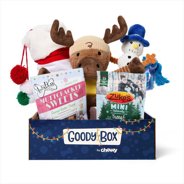 GOODY BOX Holiday Dog Toys & Treats, Medium/Large - Chewy.com | Chewy.com