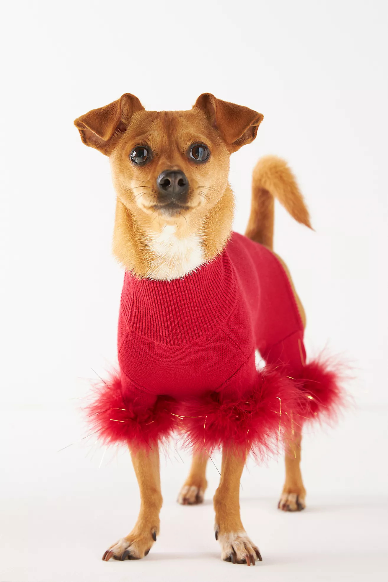 Maxbone Festive Feather Dog Onesie | Anthropologie (US)