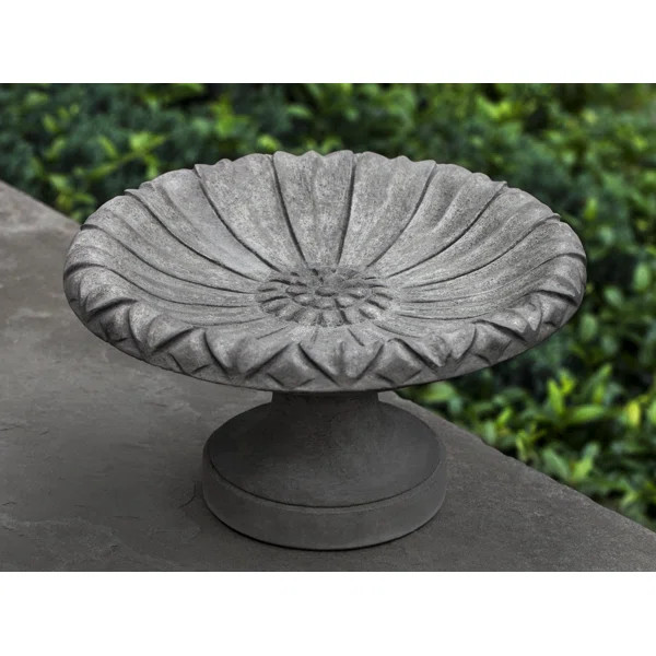 Concrete Pedestal Birdbath | Wayfair North America