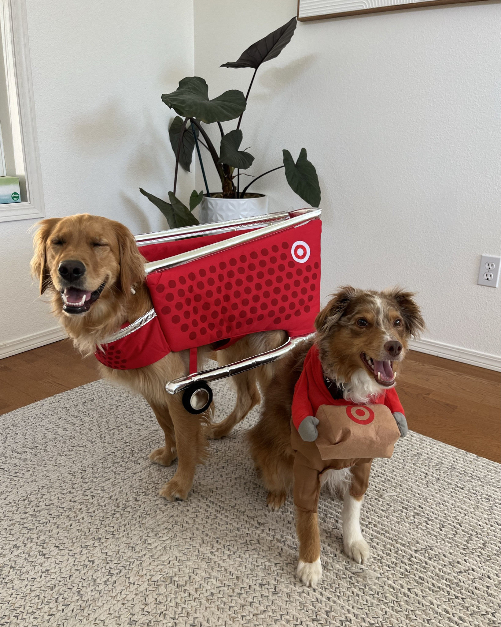 Your newest Target hires! 🎯

#LTKSeasonal #LTKHalloween