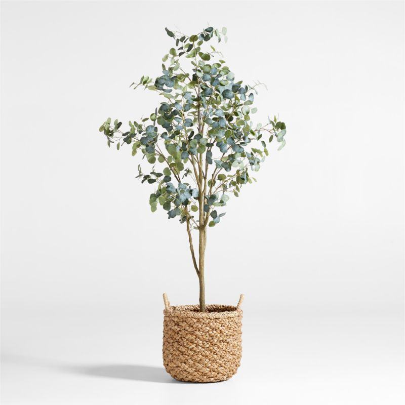 Faux Silver Dollar Eucalyptus Tree 8' + Reviews | Crate & Barrel | Crate & Barrel