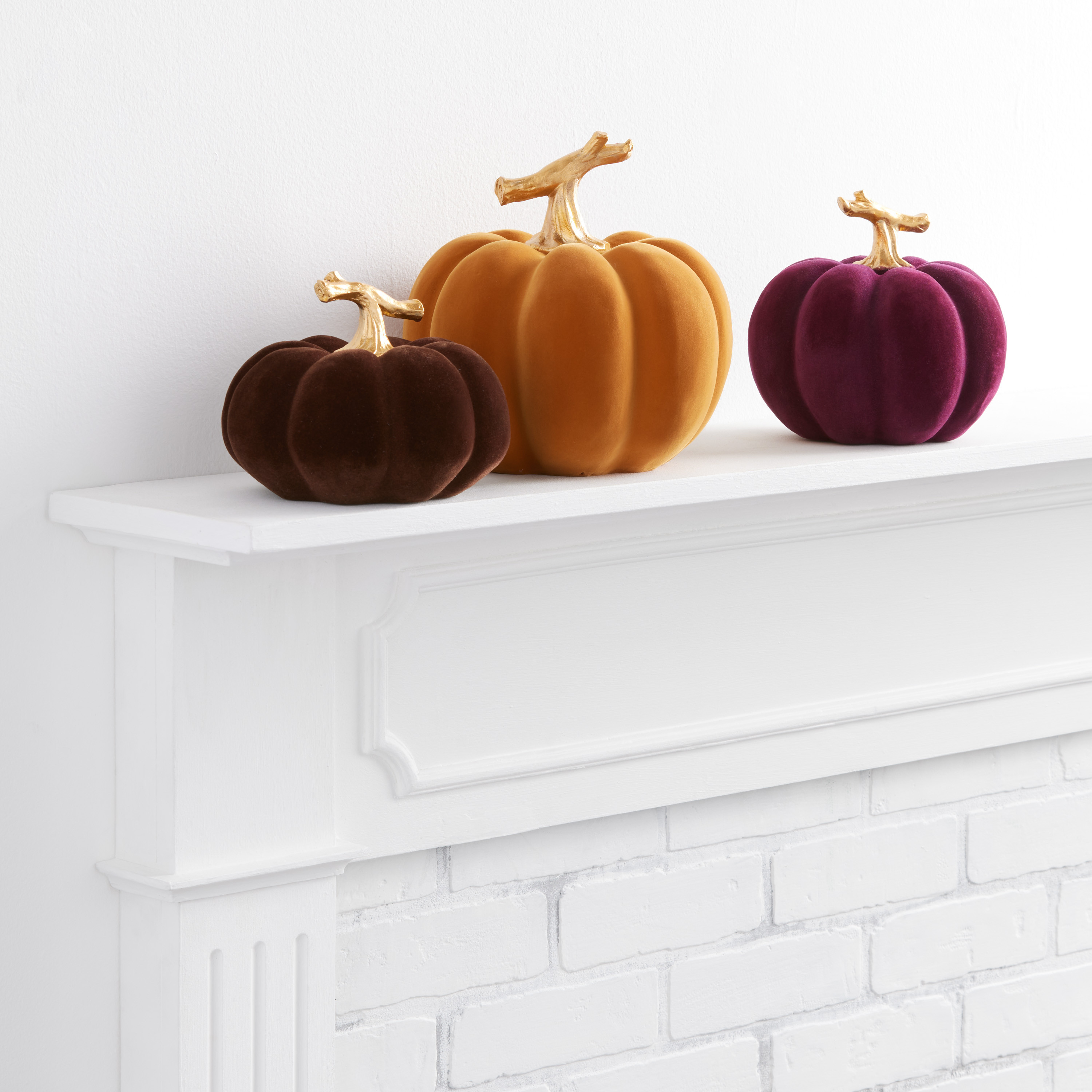 Velvet Flocked Pumpkin Decor Collection | World Market