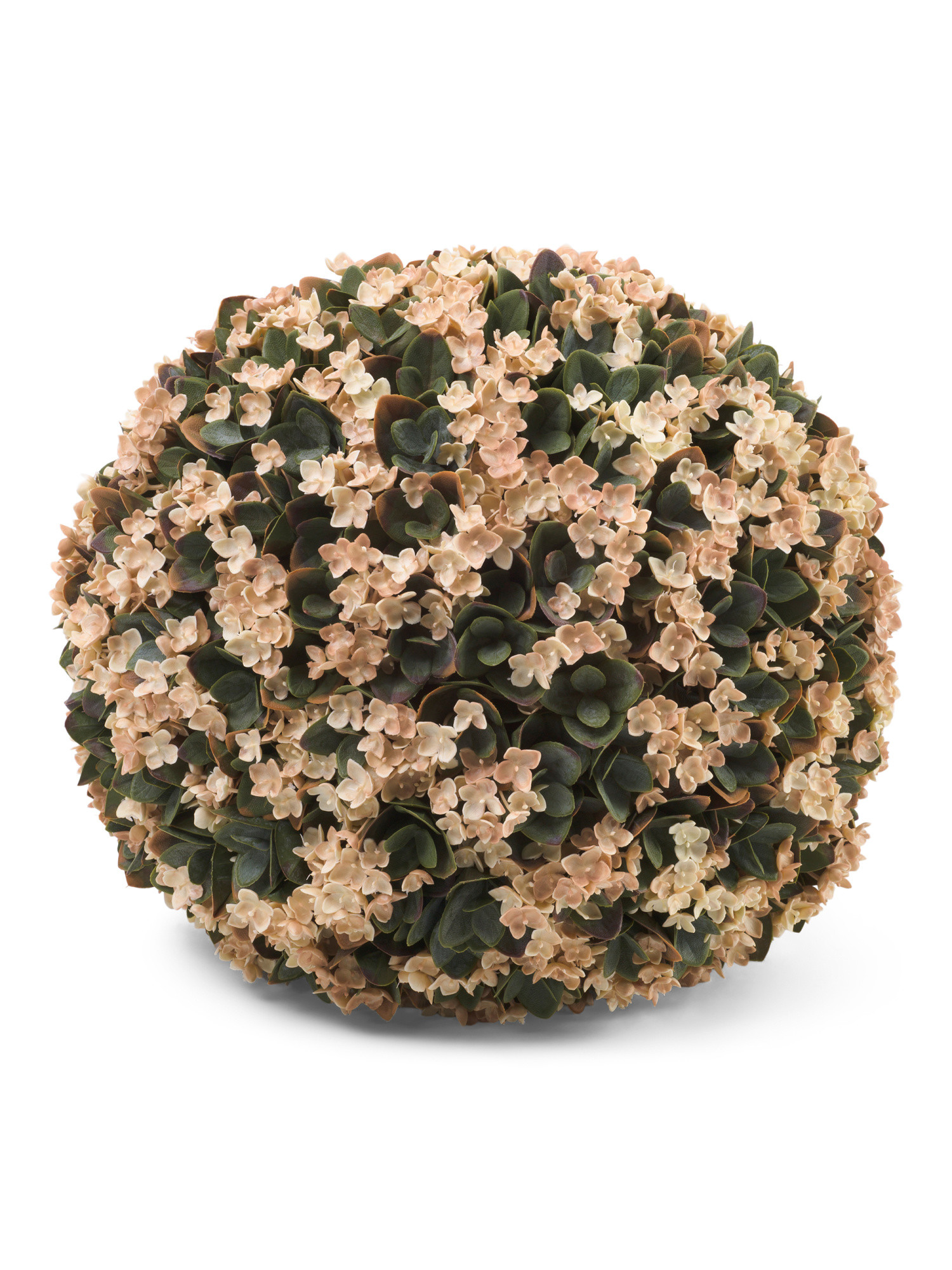 13in Uv Resistant Camellia Greenery Ball | Plants & Planters | Marshalls | Marshalls