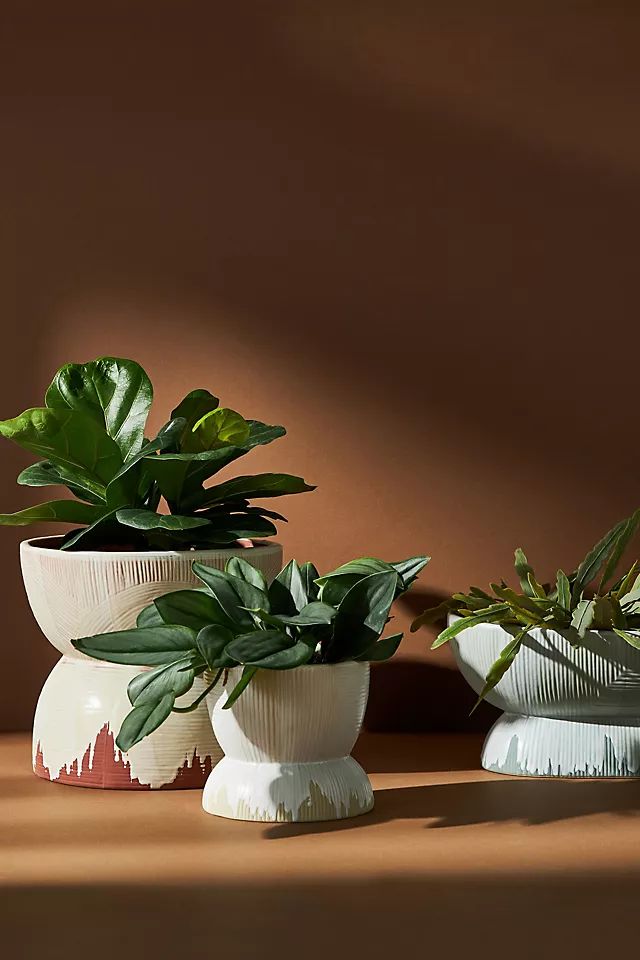 Terra Garden Pot | Anthropologie (US)