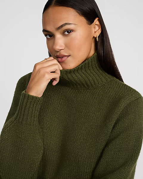 Cozy Soft Turtleneck Sweater | Express