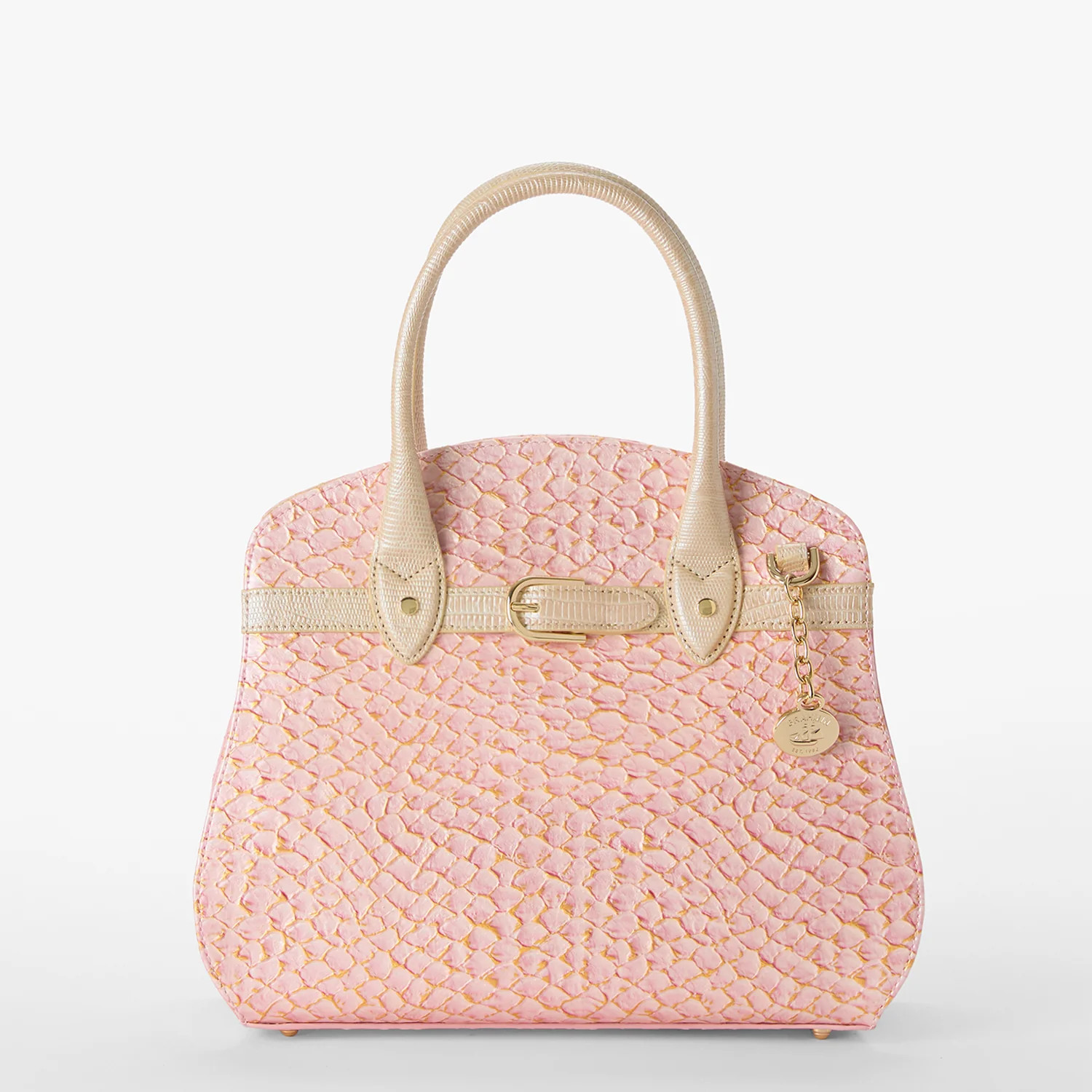 Rosetta | Brahmin
