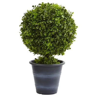 23” Boxwood Ball Topiary | Nearly Natural