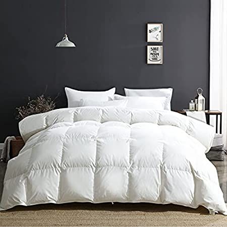 Johalaide Goose Feathers Down Comforter Luxurious Queen Size Duvet Insert, Breathable 100% Cotton Co | Amazon (US)