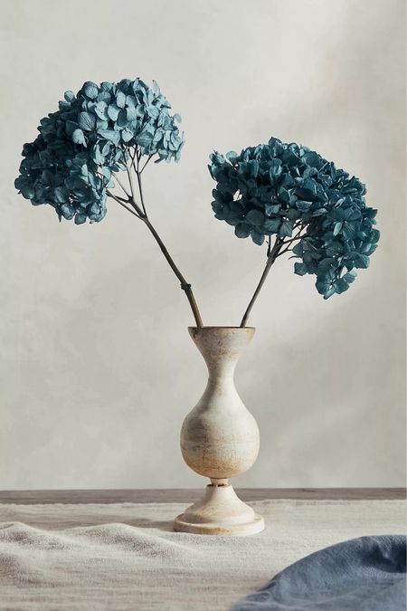 Add a touch of timeless beauty to your home with this preserved hydrangea bunch! Perfect for bringing a bright burst of color and texture to any space, these dried hydrangeas are ideal for fresh arrangements, dried wreaths, or even a simple table setting.

Shop now on LTK and elevate your decor with these stunning, long-lasting blooms! #HomeDecor #DriedFlowers #Hydrangeas #LTKHome #FlowerArrangements #InteriorDesign

#LTKStyleTip #LTKSummerSales #LTKFindsUnder50