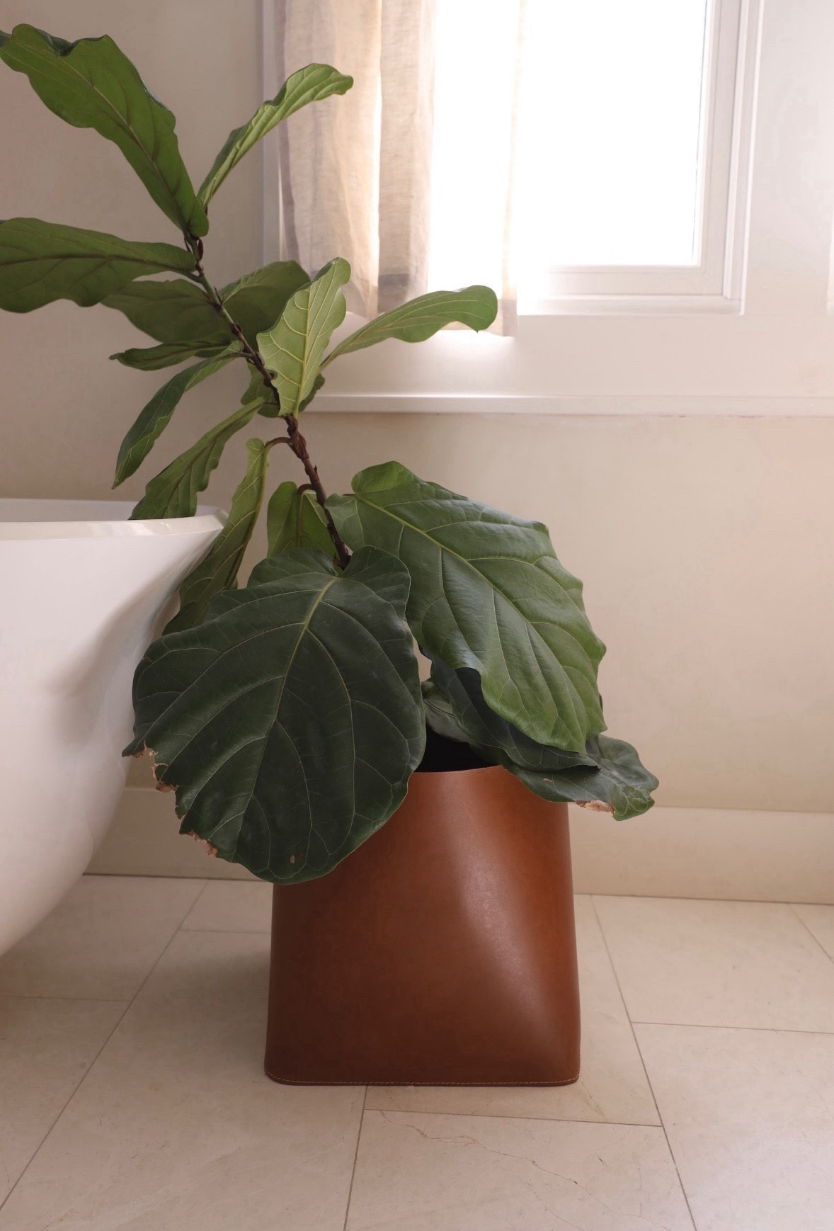 Added some natural decor pieces to our primary bathroom 🛁
Now it feels so serene and spa-like 

#LTKstyletip #LTKhome #LTKMostLoved