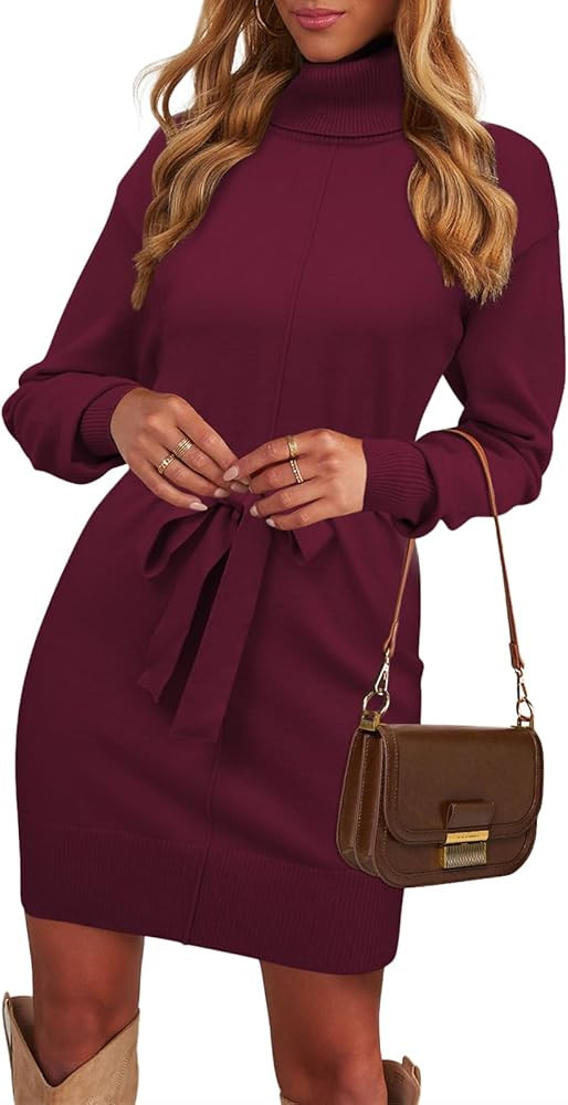 SENFURE Womens Turtleneck Sweater Dress Long Sleeve Soft Tunic Dresses Pullover Sweater Short Dre... | Amazon (CA)