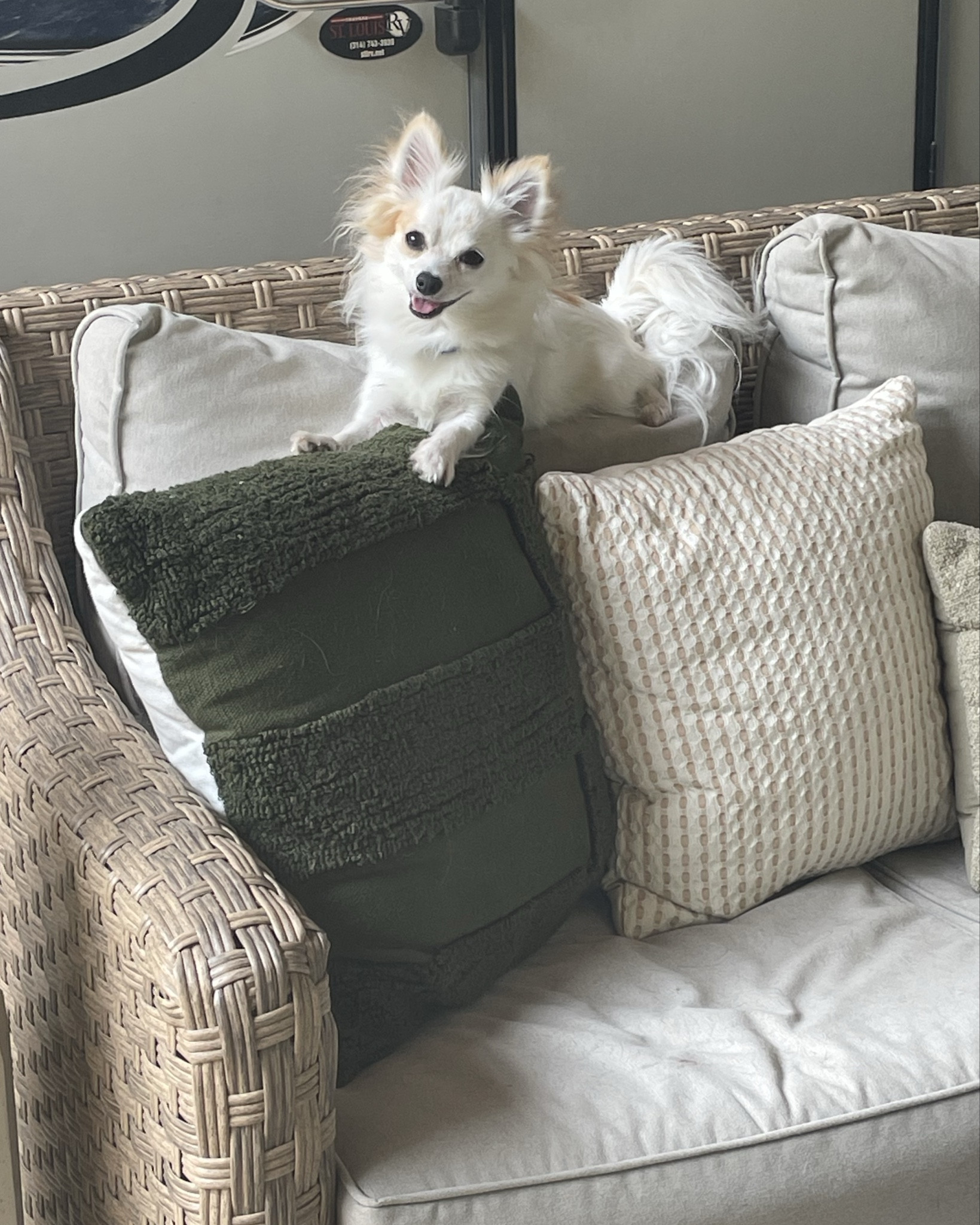 This weekend we have major deck weather! We plan to just lay out here and enjoy the breeze and the sleeping puppies. I think I have finally nailed down the decor. The 2 inexpensive Amazon wreaths were the icing on the cake. And the sound of trickling water from the outdoor fountain is the chef’s kiss. This place is magical at night when everything lights up 😍. Solar lights everywhere  

#LTKSaleAlert #LTKHome #LTKSummerEdit

#LTKSummerEdit #LTKSaleAlert #LTKHome

#LTKSummerEdit #LTKFindsUnder100 #LTKSeasonal