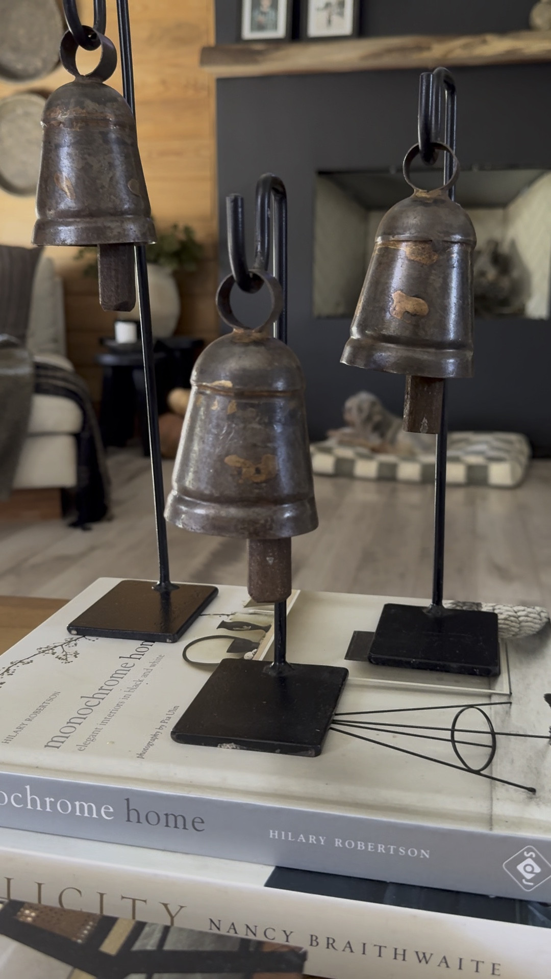 These vintage metal bells are beautiful. Comes in a set of three

#vintage #homedecor #antique #home #interiorstyling #interiorinspo #collectedspaces #fall 

#LTKOver40 #LTKVideo #LTKHome