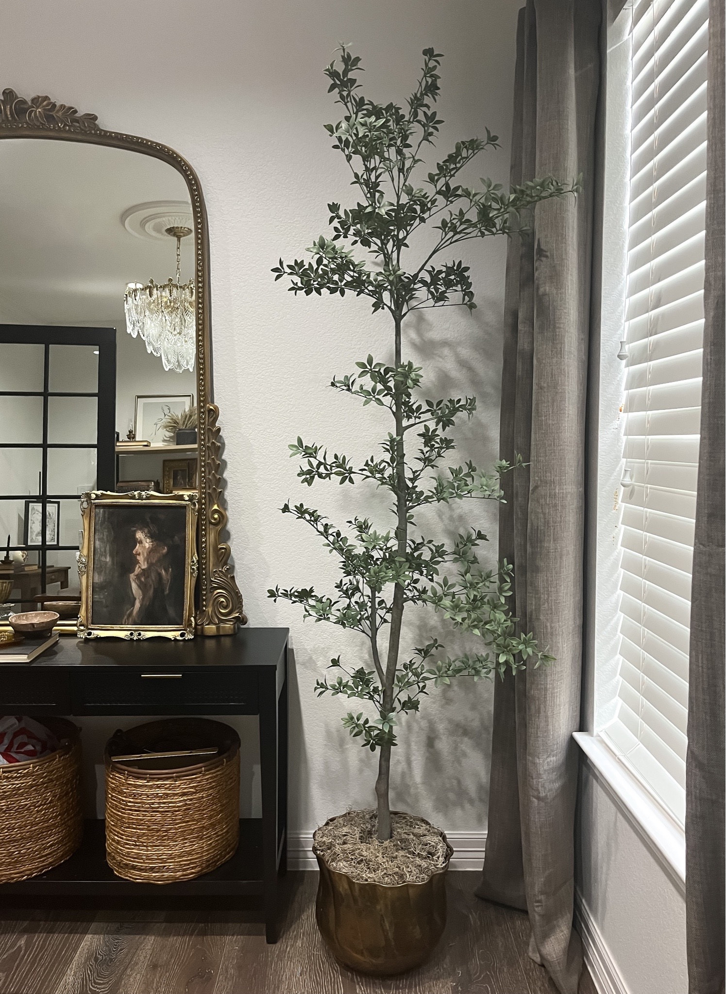 Olive tree 

#LTKstyletip #LTKfindsunder50 #LTKhome