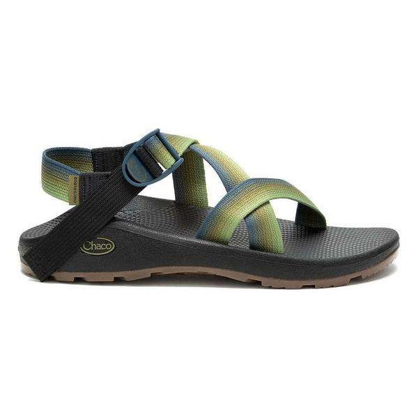 Men's Chaco Z/Cloud Water Sandals 14 Fade Green | Scheels Sports
