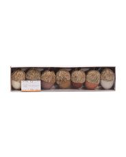 Set Of 7 Acorns For Harvest Table Decor | Fall Decor | T.J.Maxx | TJ Maxx