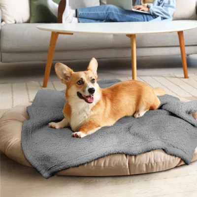 Dog Blanket Soft Dog Blankets For Large Dogs Puppy Essentials Washable Sherpa Fleece Cat Blanket For Bed Furniture Couch Sofa | Wayfair North America
