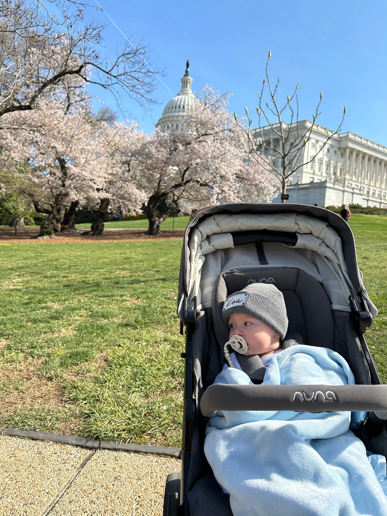 Can’t visit family in VA without heading downtown to DC! Put our favorite baby gear to the test navigating busy crowds + the metro! 

Linking our favorite baby travel items here but I will add, the pack n play linked isn’t my absolute favorite but it definitely does the trick and is so easy to pop up and break down. You absolutely need to get a mattress pad for it IMO. You can basically knock on the one it comes with.🙃

Traveling with baby, baby boy, new parent, baby gift, new mom gift, baby shower, baby registry, baby carrier, baby stroller

#LTKtravel #LTKkids #LTKbaby