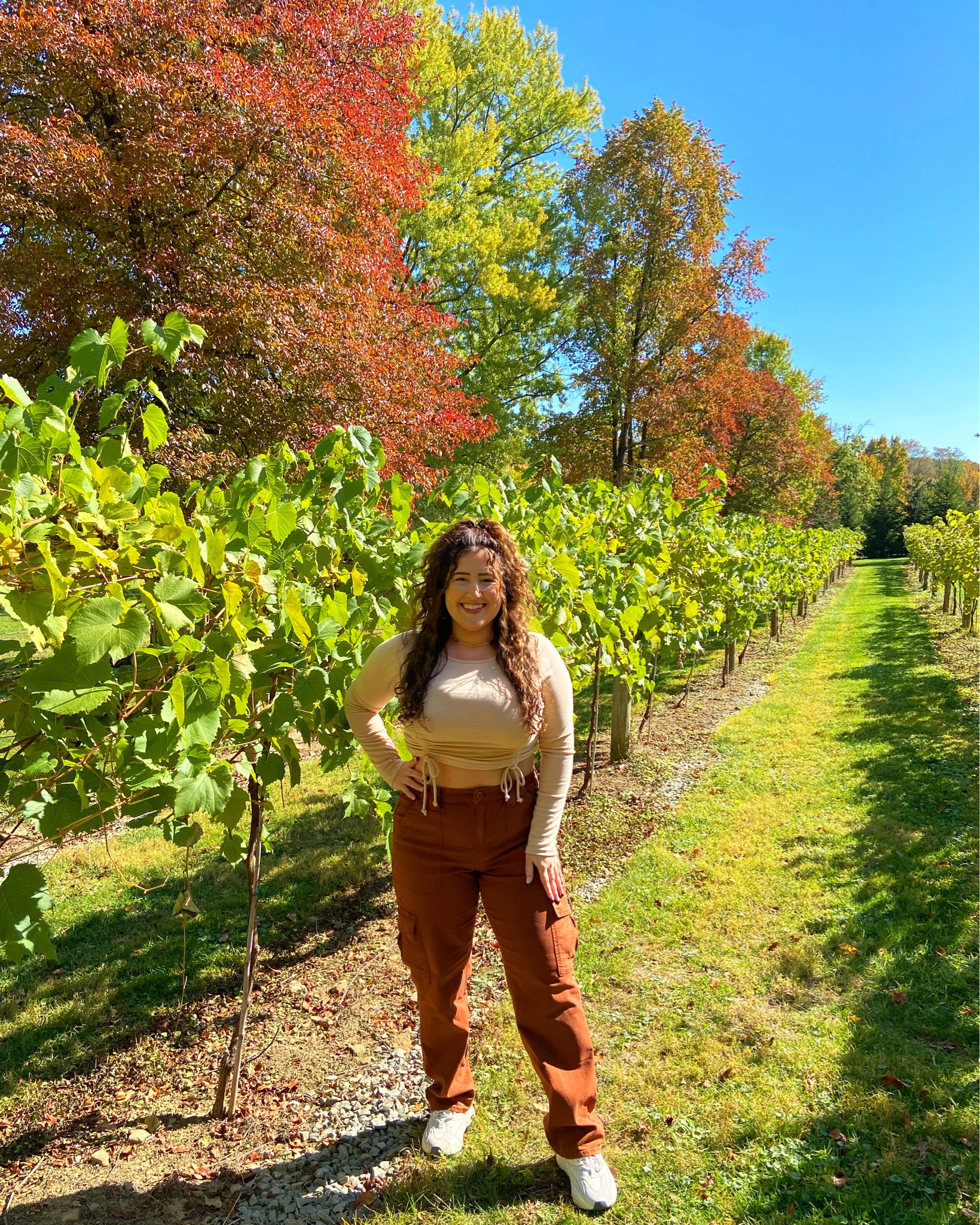 these American eagle cargo pants are amazing 

#LTKSeasonal #LTKstyletip #LTKunder50