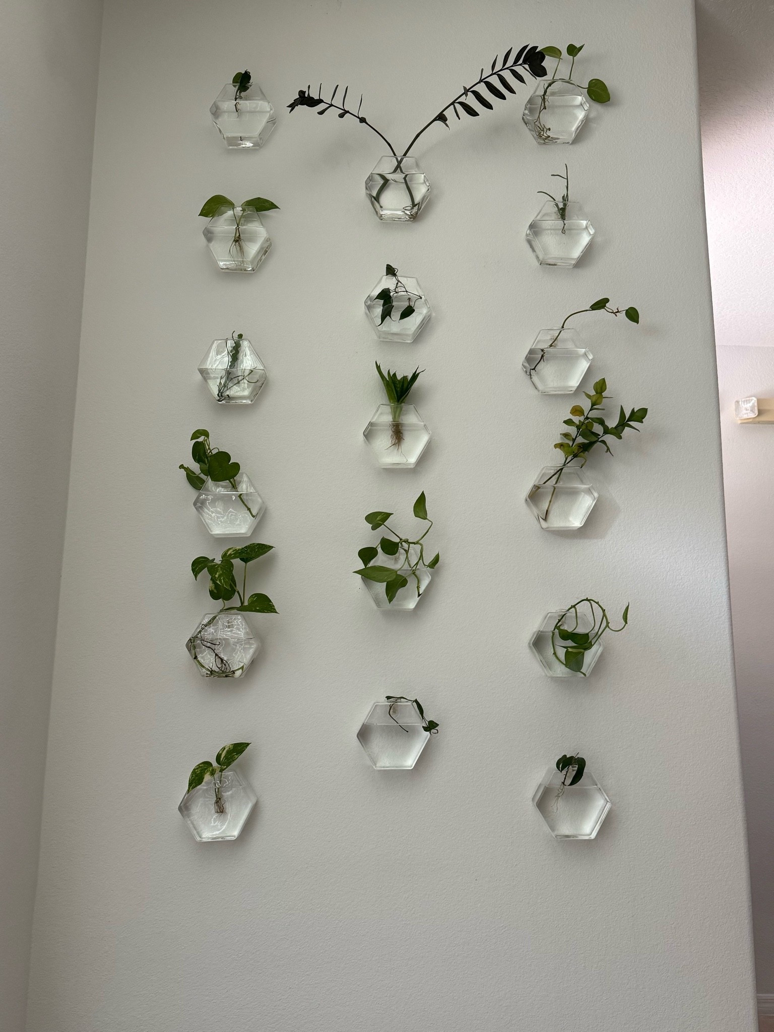 Propagation wall 

#LTKFindsUnder100 #LTKFindsUnder50 #LTKHome