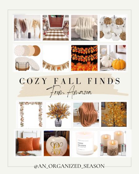 Wow! These Cozy Fall Finds are for you. Shop with An Organized Season

#LTKHoliday #LTKhome #LTKSeasonal