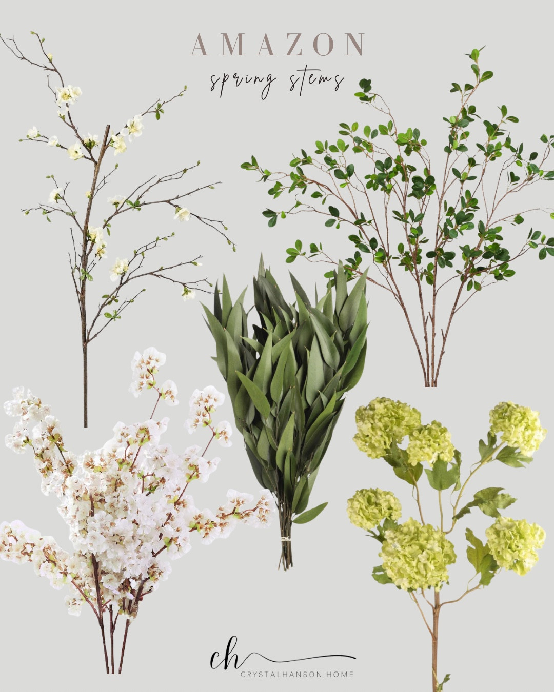 Spring stems from Amazon


#LTKFindsUnder50 #LTKHome #LTKSaleAlert