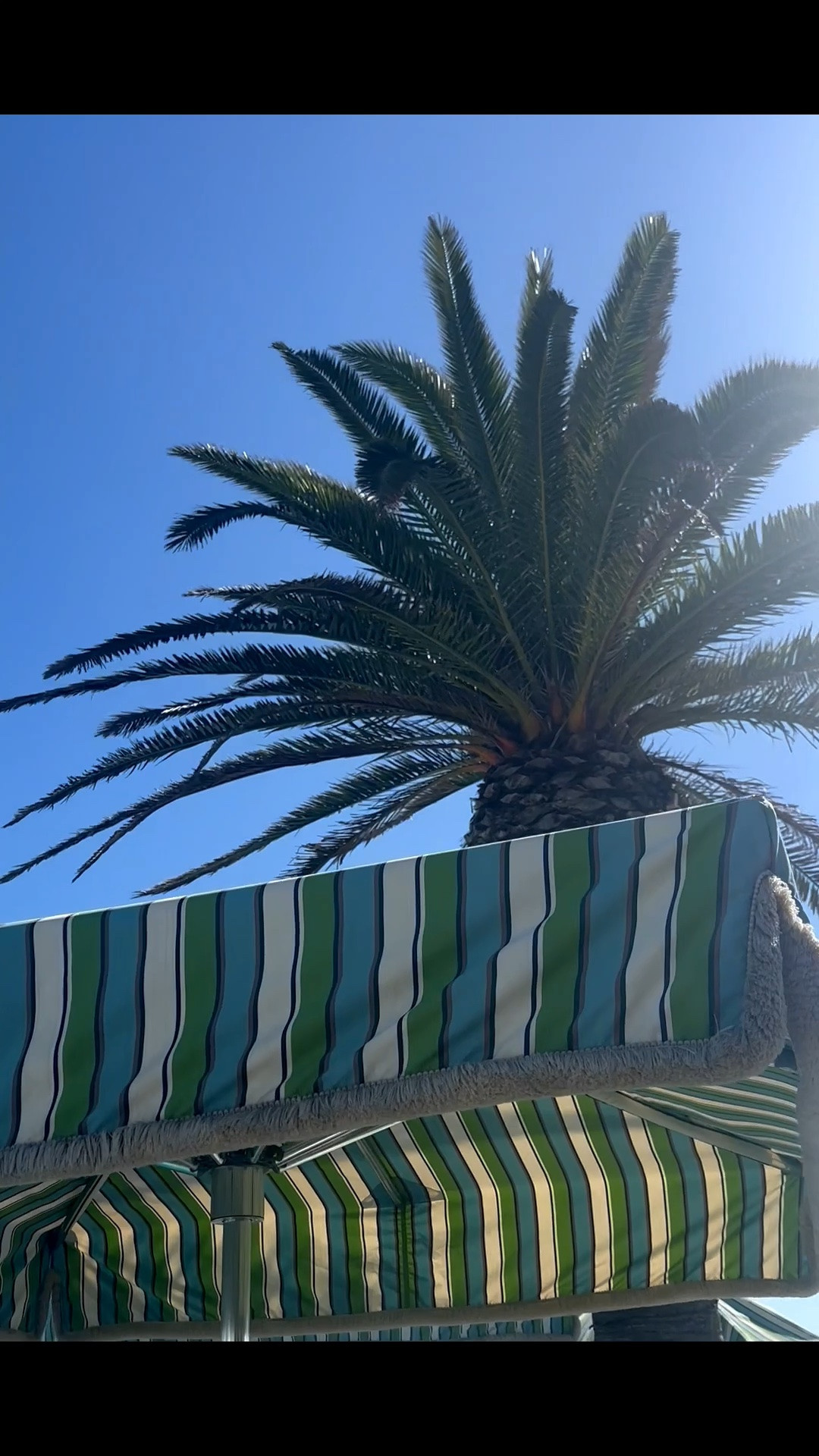 Nothing says summer quite like a classic striped patio umbrella. I love how this timeless design instantly creates a relaxed, resort-style atmosphere, turning any backyard, patio, or poolside into your own vacation retreat. Summer is here—slow down, soak up the sunshine, and enjoy every beautiful moment outdoors.

#Patio #Backyard #PatioUmbrella #OutdoorLiving #ResortStyle #BackyardDesign #OutdoorDecor #CoastalStyle #SummerVibes #PatioInspiration #OutdoorFurniture #LTKHome #SummerLiving

#LTKdayinmylife #LTKHome #LTKSaleAlert