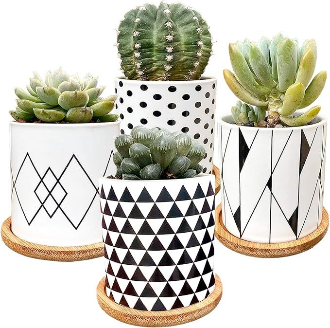 Succulent Pots,Black and White Pots for Plants,3.6 Inch Succulent Plants Pots,Flower Pots Indoor&... | Amazon (US)