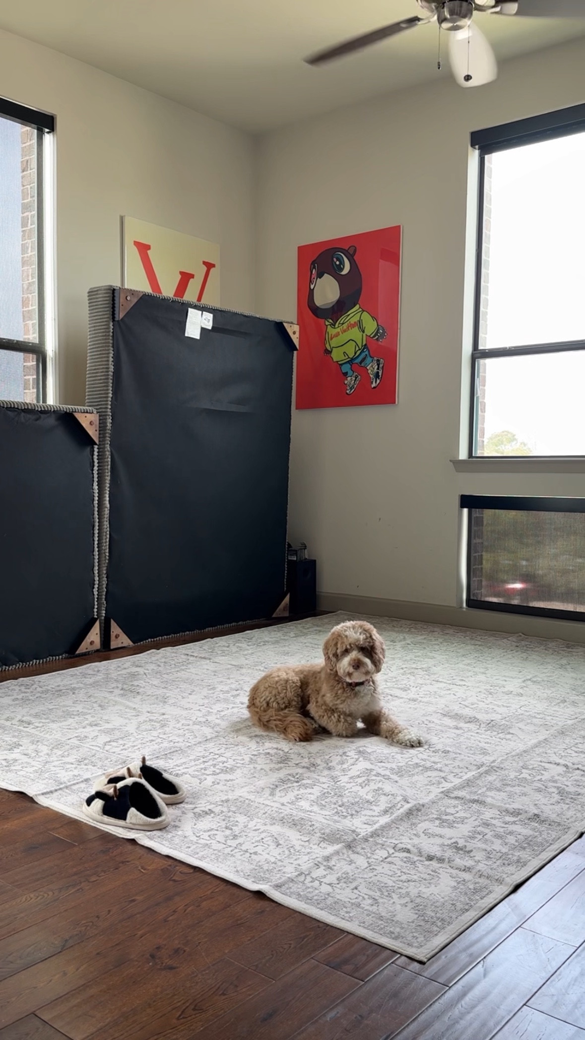 Our new washable rug! 