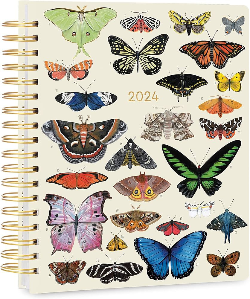 High Note 2024 Planner, 17-Month Weekly & Monthly Hardcover Planner: August 2023 to December 2024... | Amazon (US)