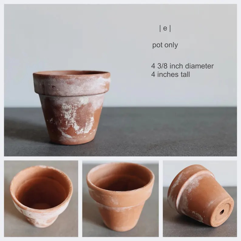 VINTAGE | Assorted Aged Terracotta Pots | Herb Planters | Small Clay Pots 4 to 5 1/2 diameter | Etsy (US)